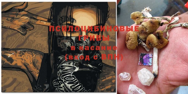 шишки Балабаново