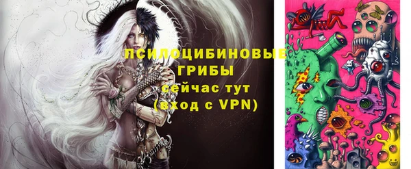 шишки Балабаново