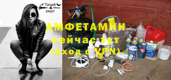 шишки Балабаново