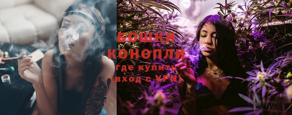 шишки Балабаново