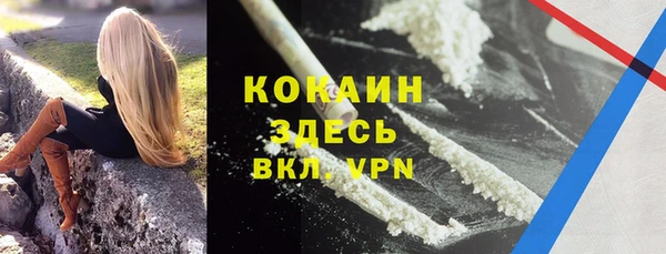 шишки Балабаново