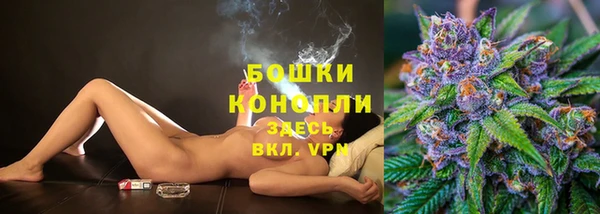 шишки Балабаново